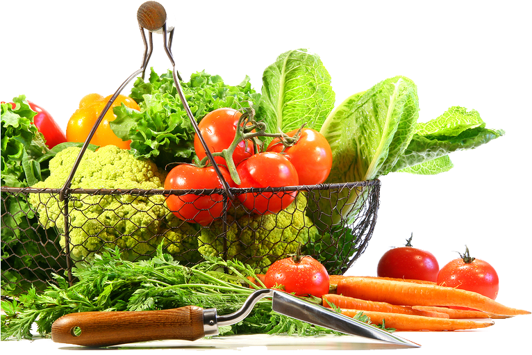 Fruits And Vegetables PNG Transparent Image
