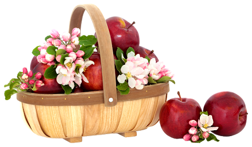 Buong basket PNG Clipart