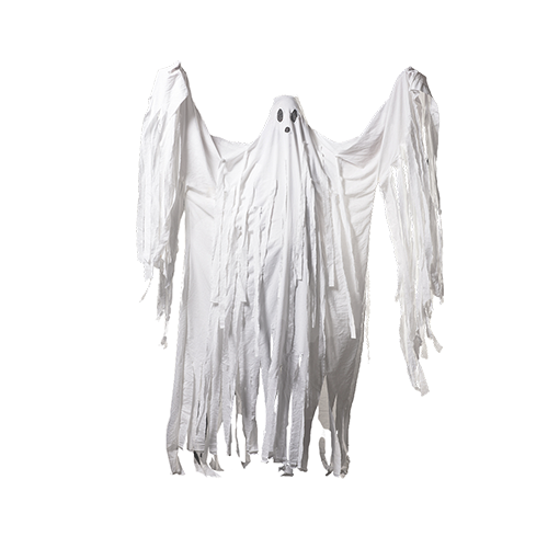Ghost Image PNG Transparente