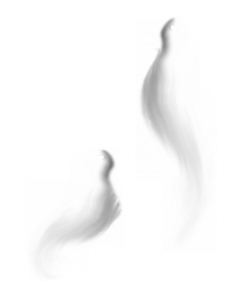 Ghost Transparent Background