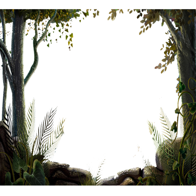 Immagine Trasparente dellalbero della foresta verde