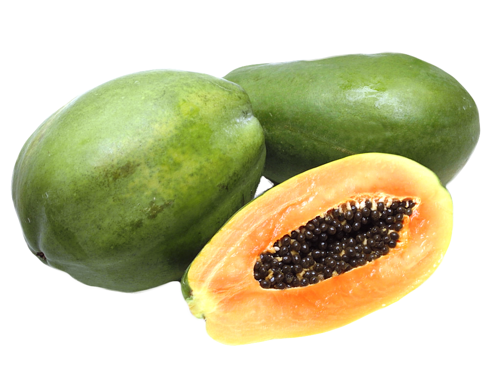 Papaya verde PNG clipart