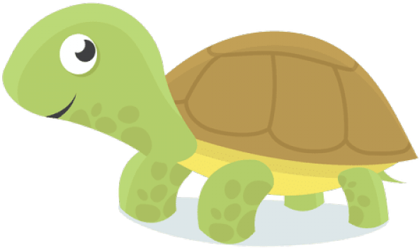 ไฟล์ PNG Turtle สีเขียว
