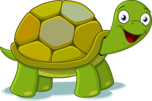 Зеленая черепаха PNG pic
