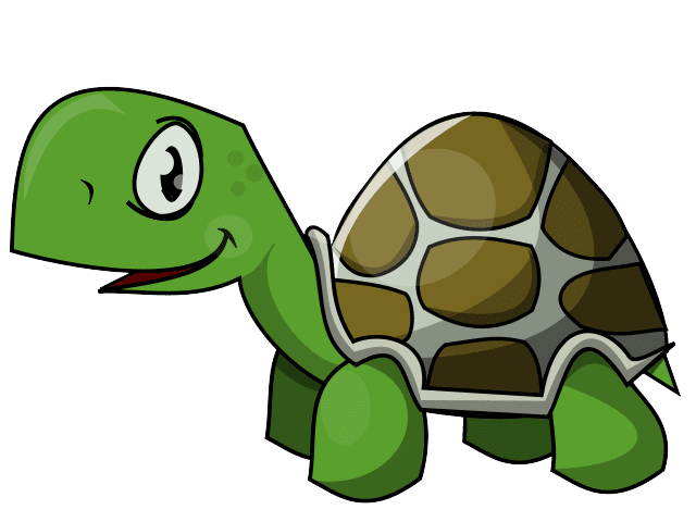 Green Turtle PNG Transparent Image