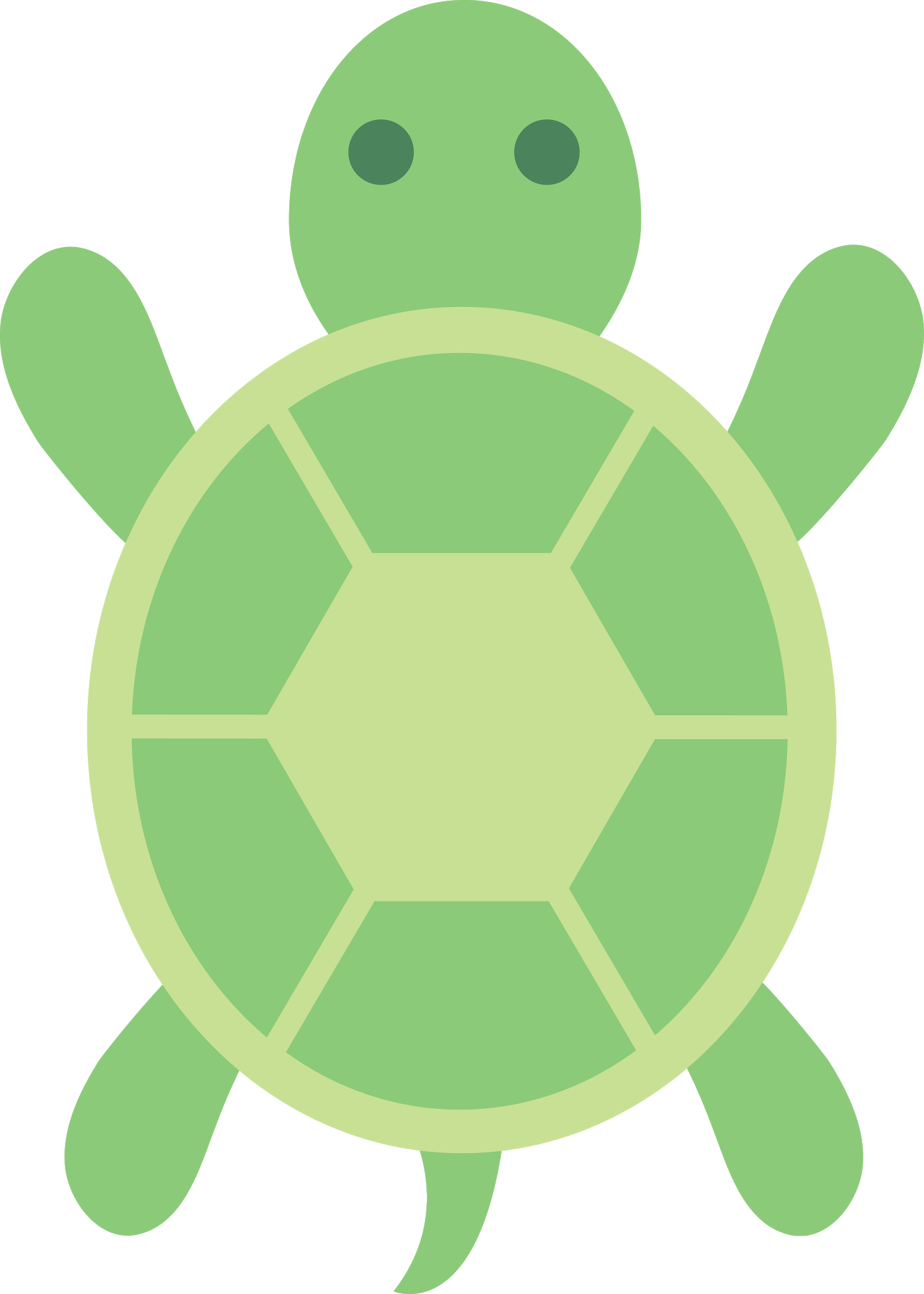 Grüne Schildkröte transparent PNG