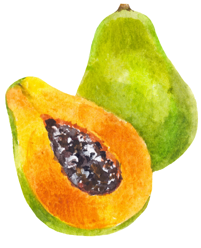 Halb papaya transparent PNG