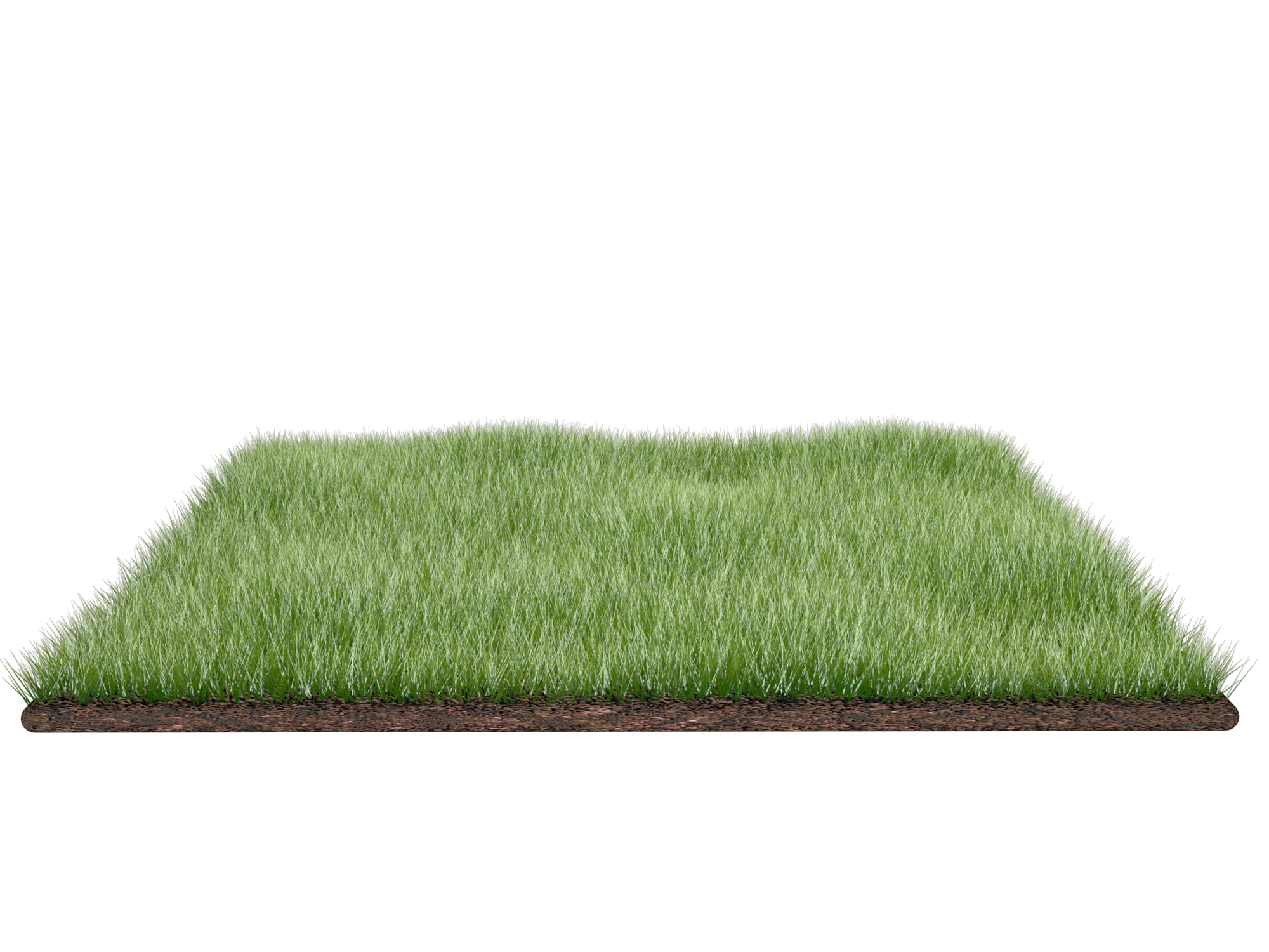 Lawn Artificial Turf Transparent Background
