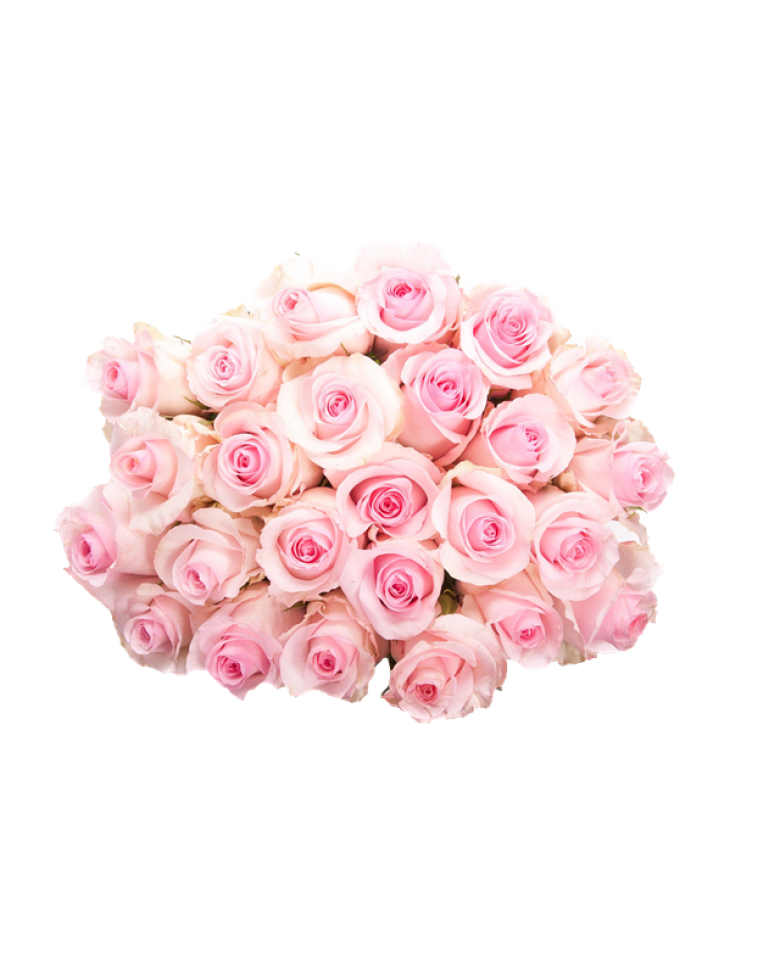 Cahaya merah muda bunga mawar bunch latar belakang Transparan