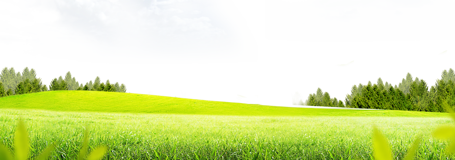 Meadow Greenscape PNG HD