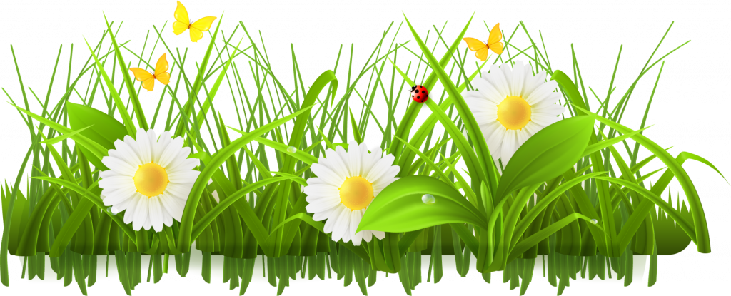 Meadow PNG Clipart