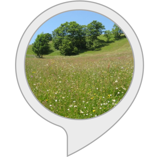 Meadow PNG Picture