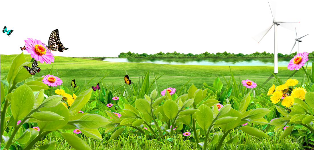 Meadow PNG Transparent Image