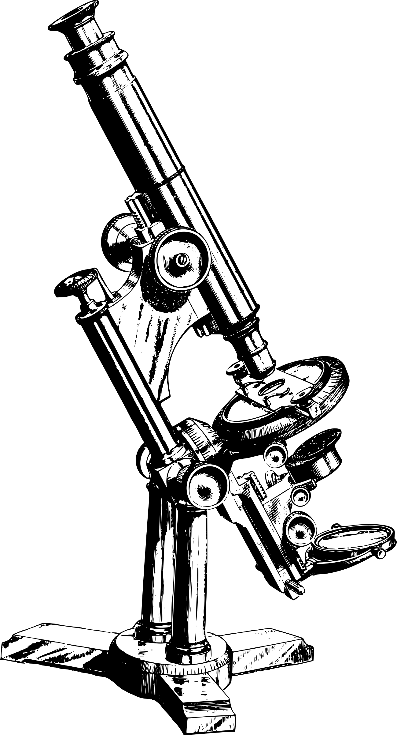 Microscopio PNG Clipart