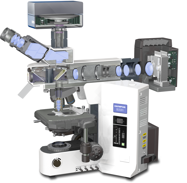 Microscope Transparent PNG