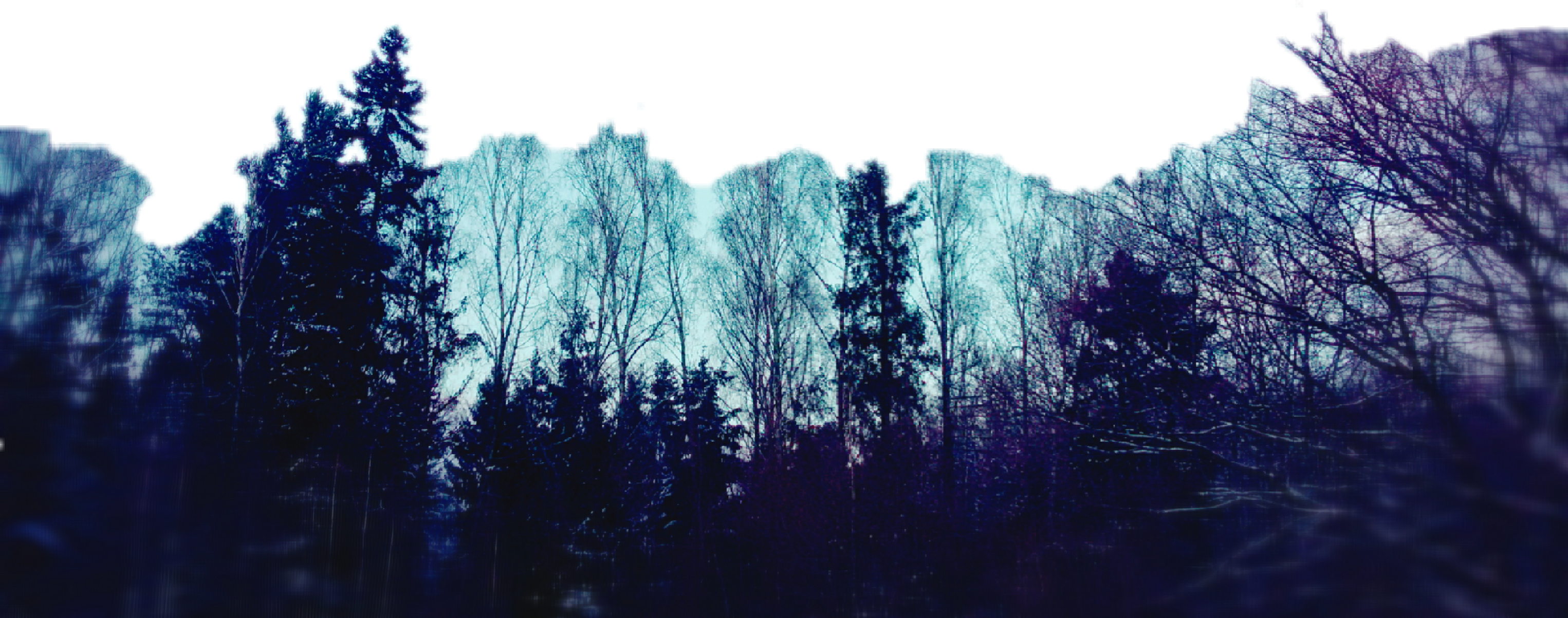 Picsart Forest PNG Transparent Image