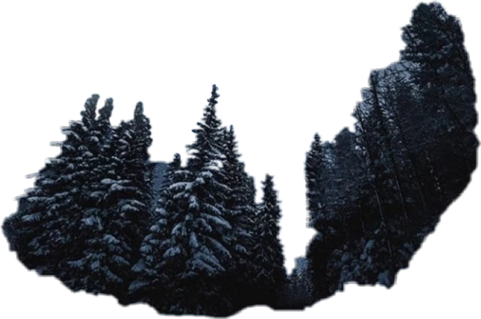 Picsart forest Transparent Background