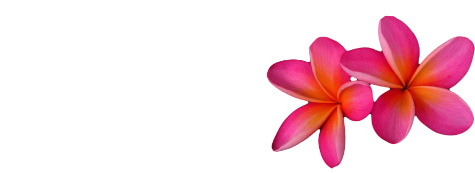 Pink Frangipani Flower PNG Image