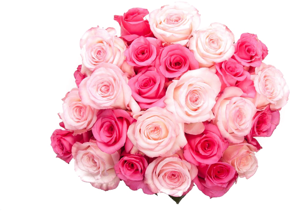 Pink Rose Flower Bunch PNG Clipart