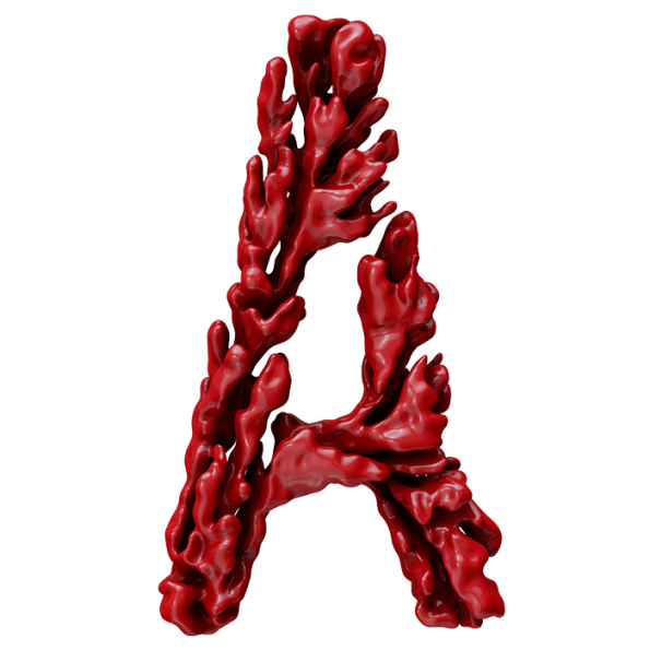 Precious Red Coral PNG Pic
