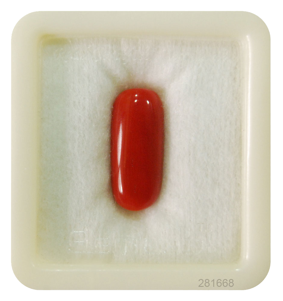 Red Coral Edelsteen PNG Pic