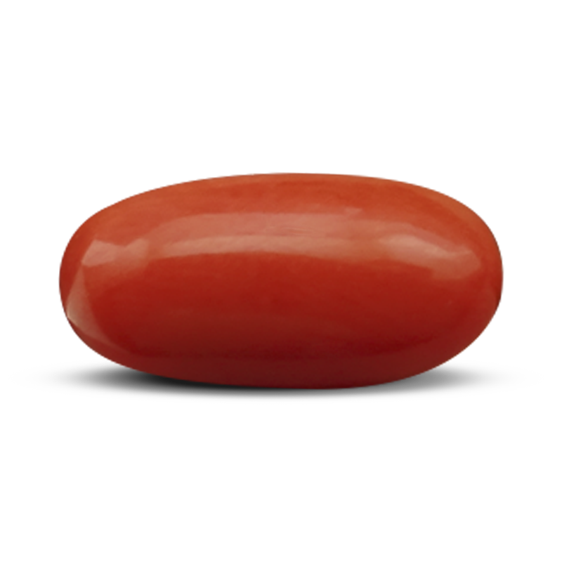 Red Coral Gem PNG Picture