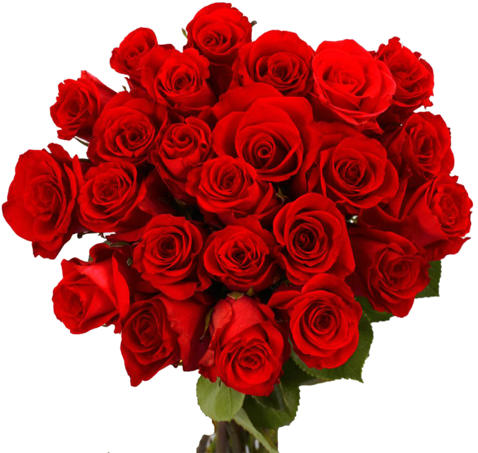 빨간 장미 꽃다발 PNG 파일
