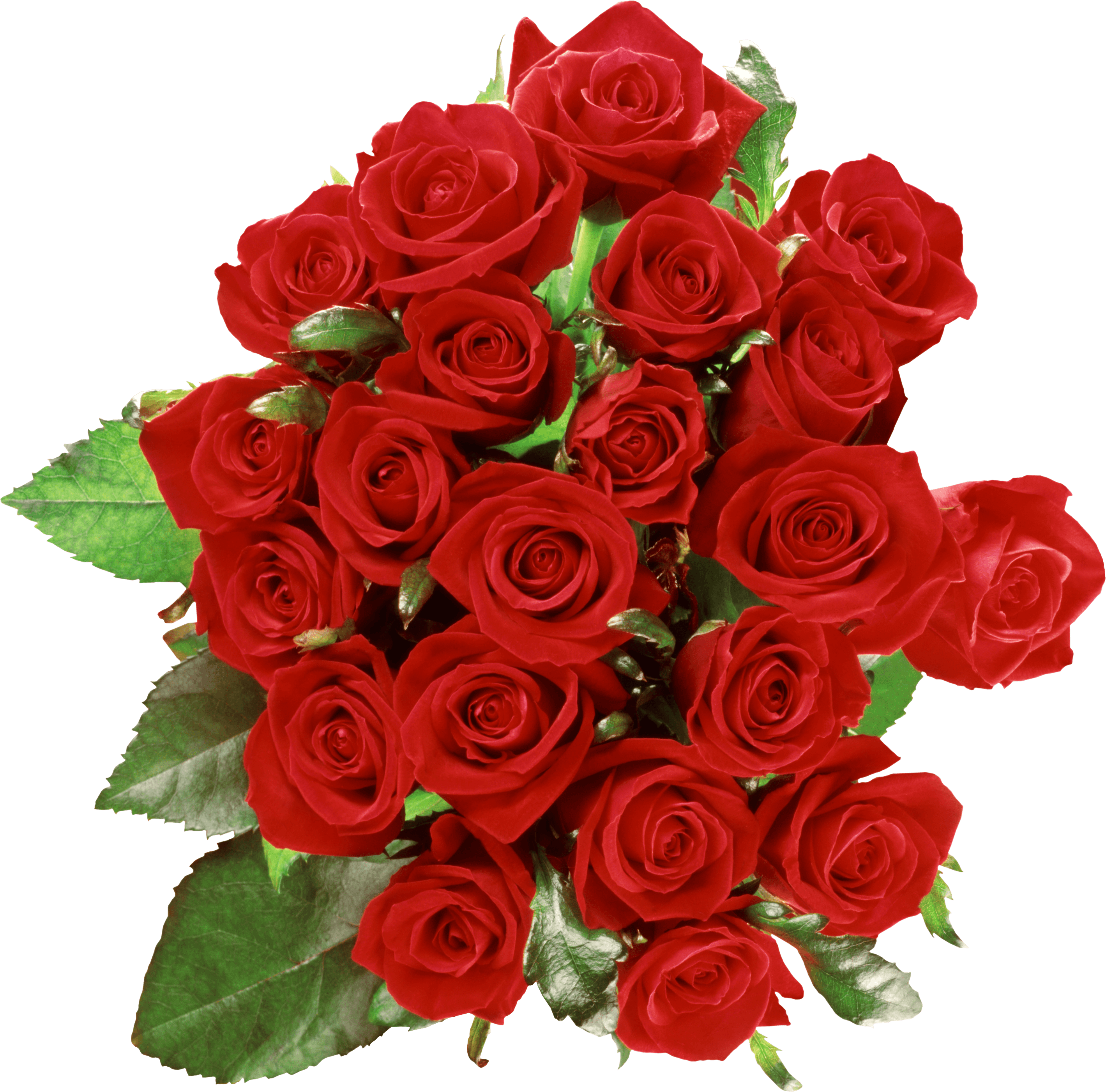 Bouquet de rose rouge PNG HD