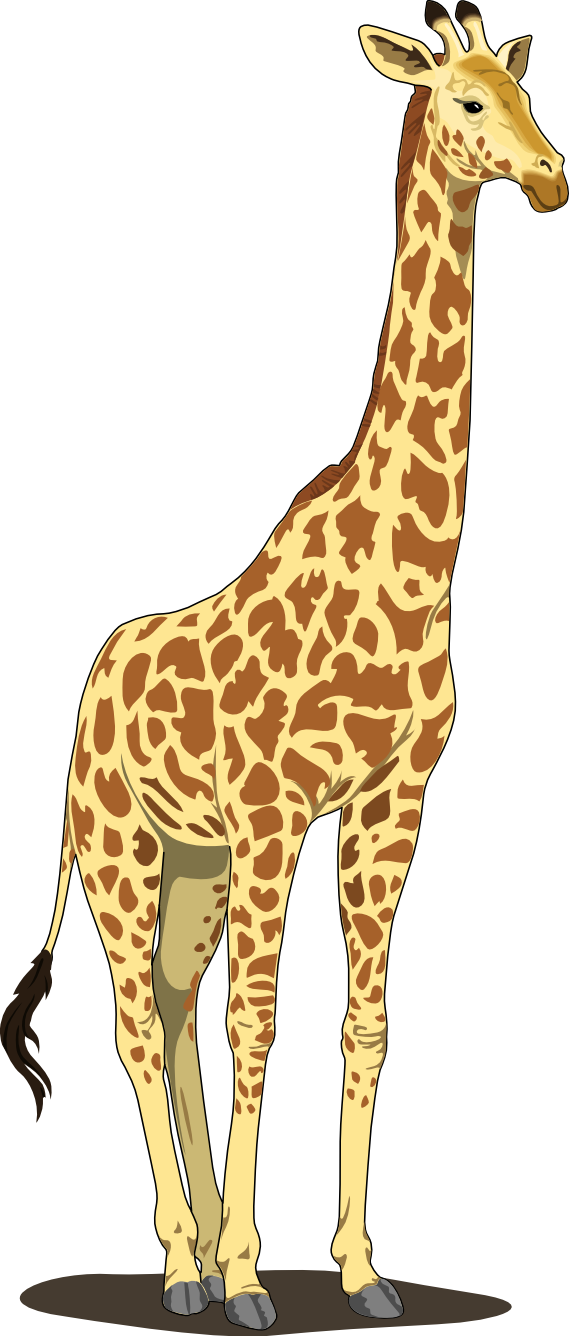 Maliit na vector giraffe PNG Clipart