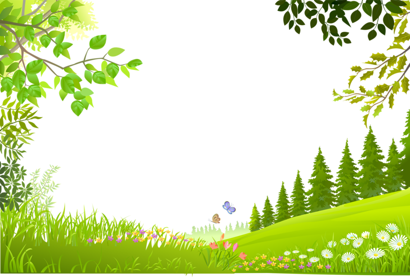 Spring Meadow PNG Clipart