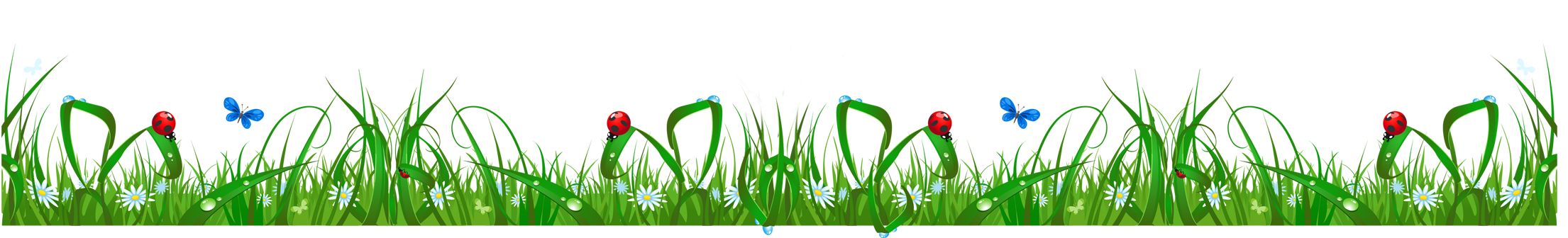 Spring Meadow PNG Transparent Image