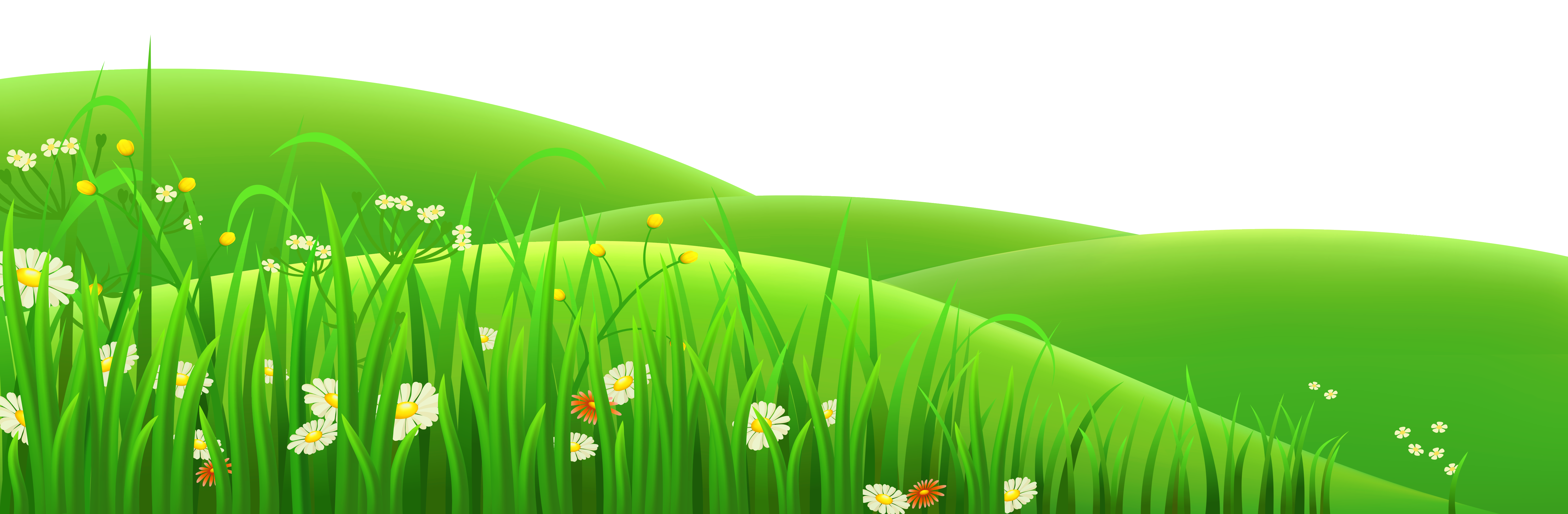 Summer Meadow PNG Picture