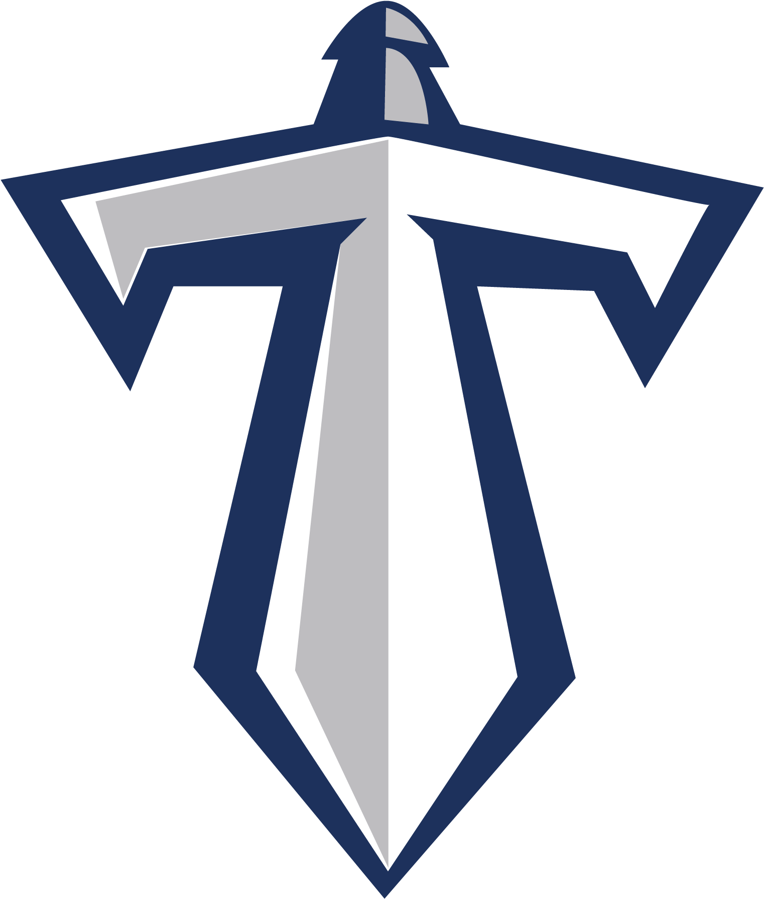 Tennessee Titans PNG Şeffaf Görüntü