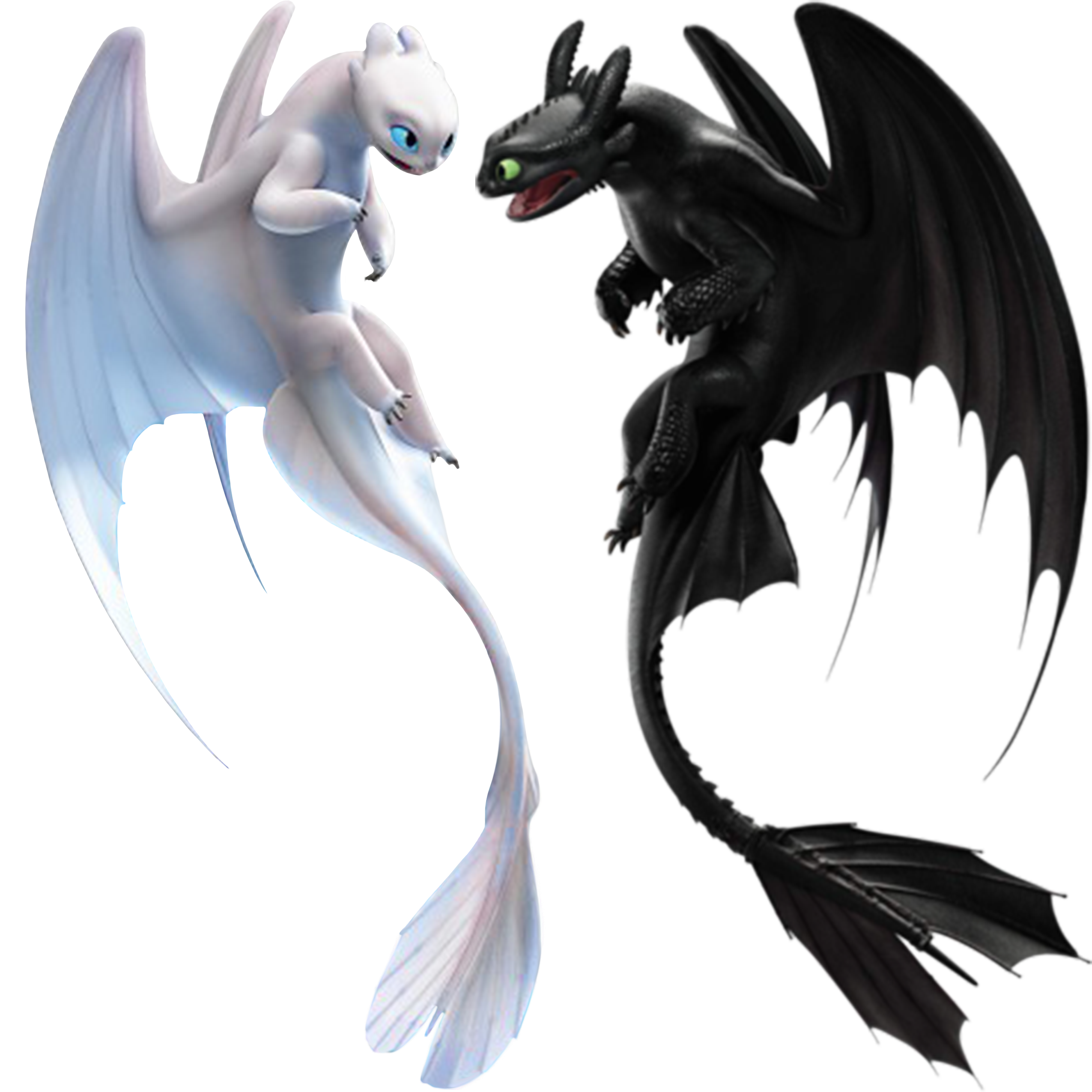Toothless Night Fury PNG Photos