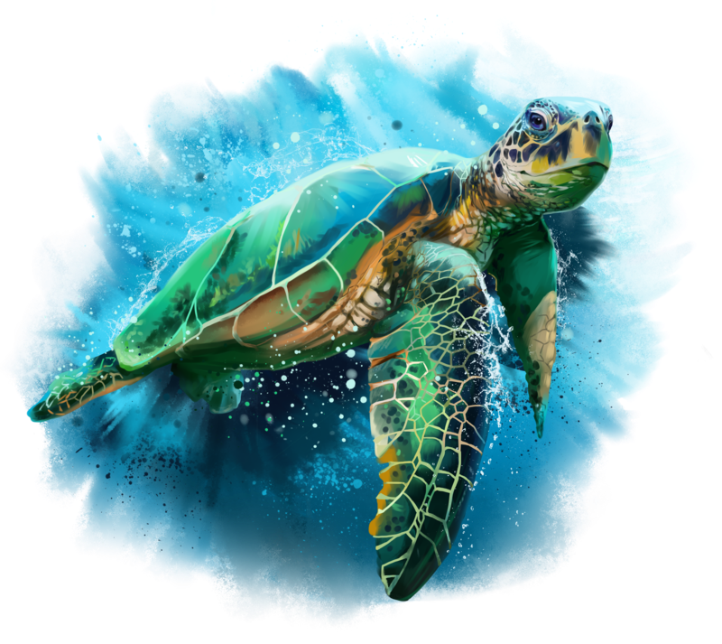 Turtle PNG скачать бесплатно