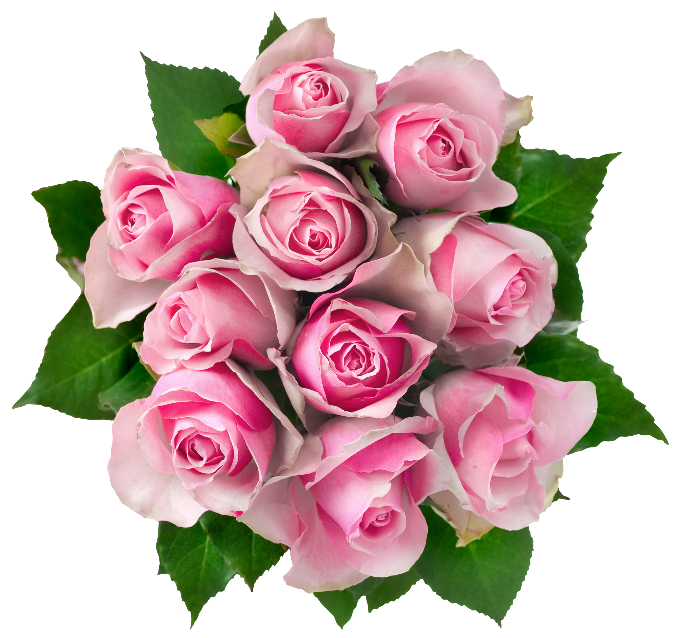 File PNG Bouquet Rosa San Valentino