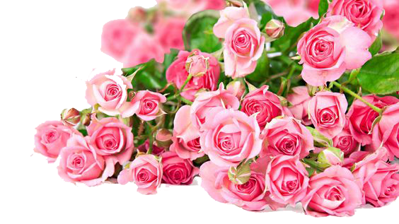 Валентина розовый букет PNG PIC