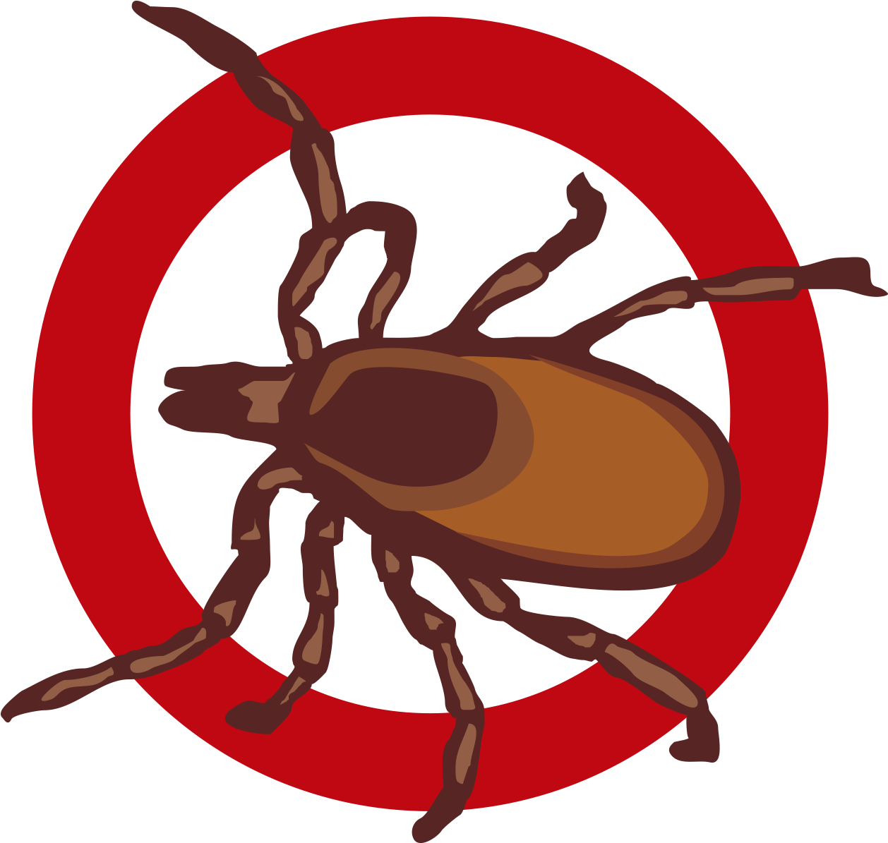 Vector Bed Bug PNG Photos