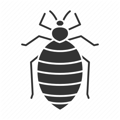 Vector Bed Bug PNG Transparent Image