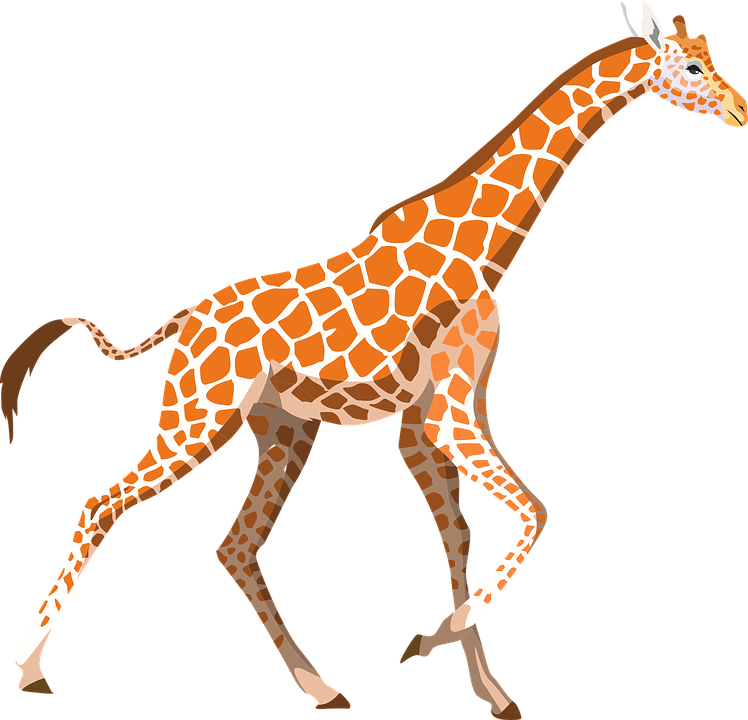 Вектор жираф PNG скачать бесплатно