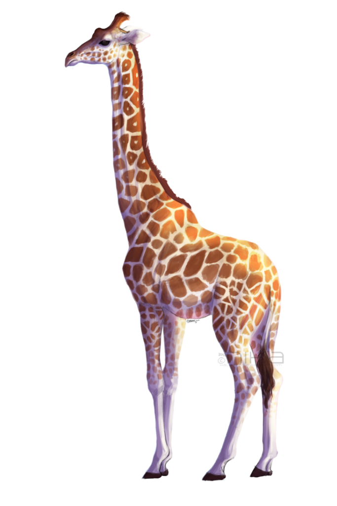 Вектор жираф PNG PIC