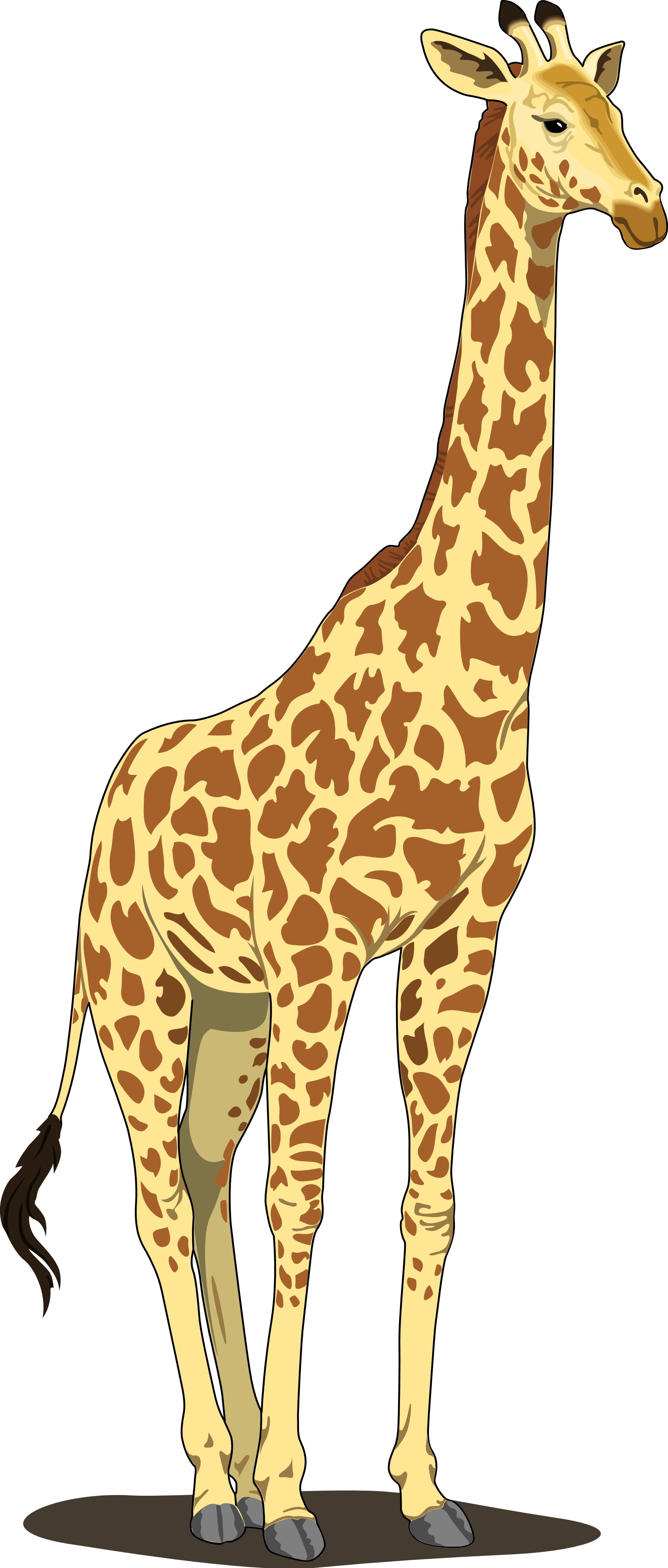 Vector fundo transparente de girafa