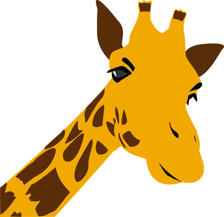 Вектор жираф прозрачный PNG