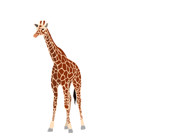 Вектор жираф прозрачный PNG