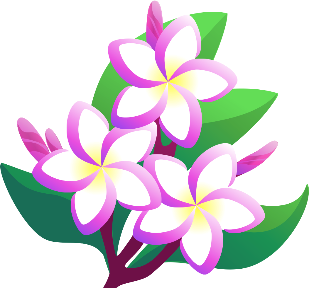 Fichier PNG frangipani rose vectoriel