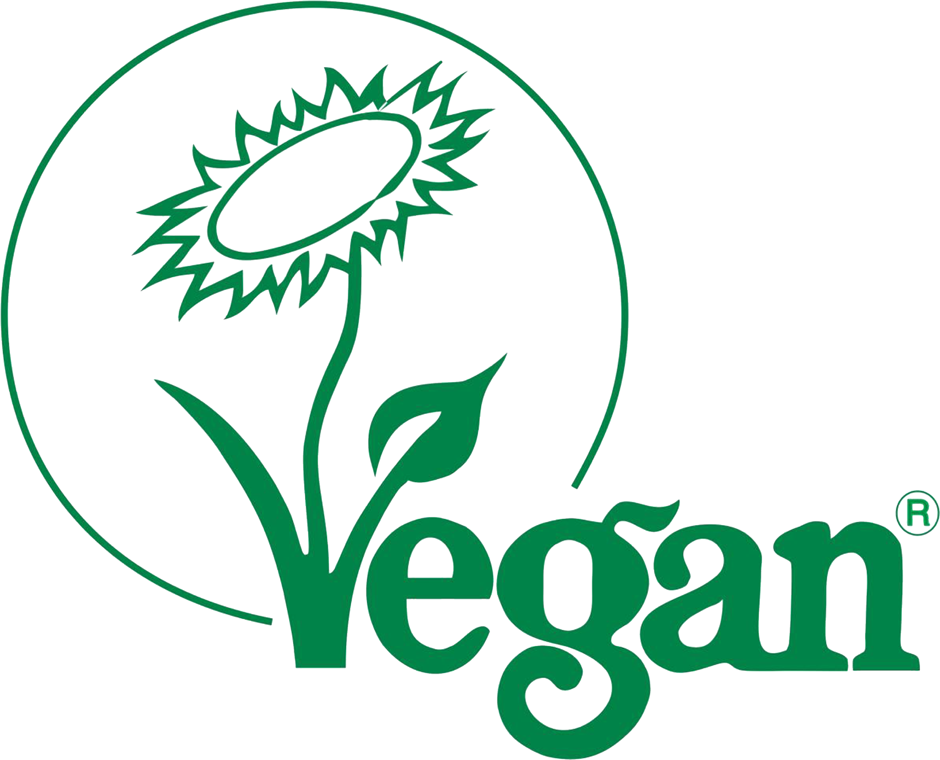 Vegan Transparent PNG