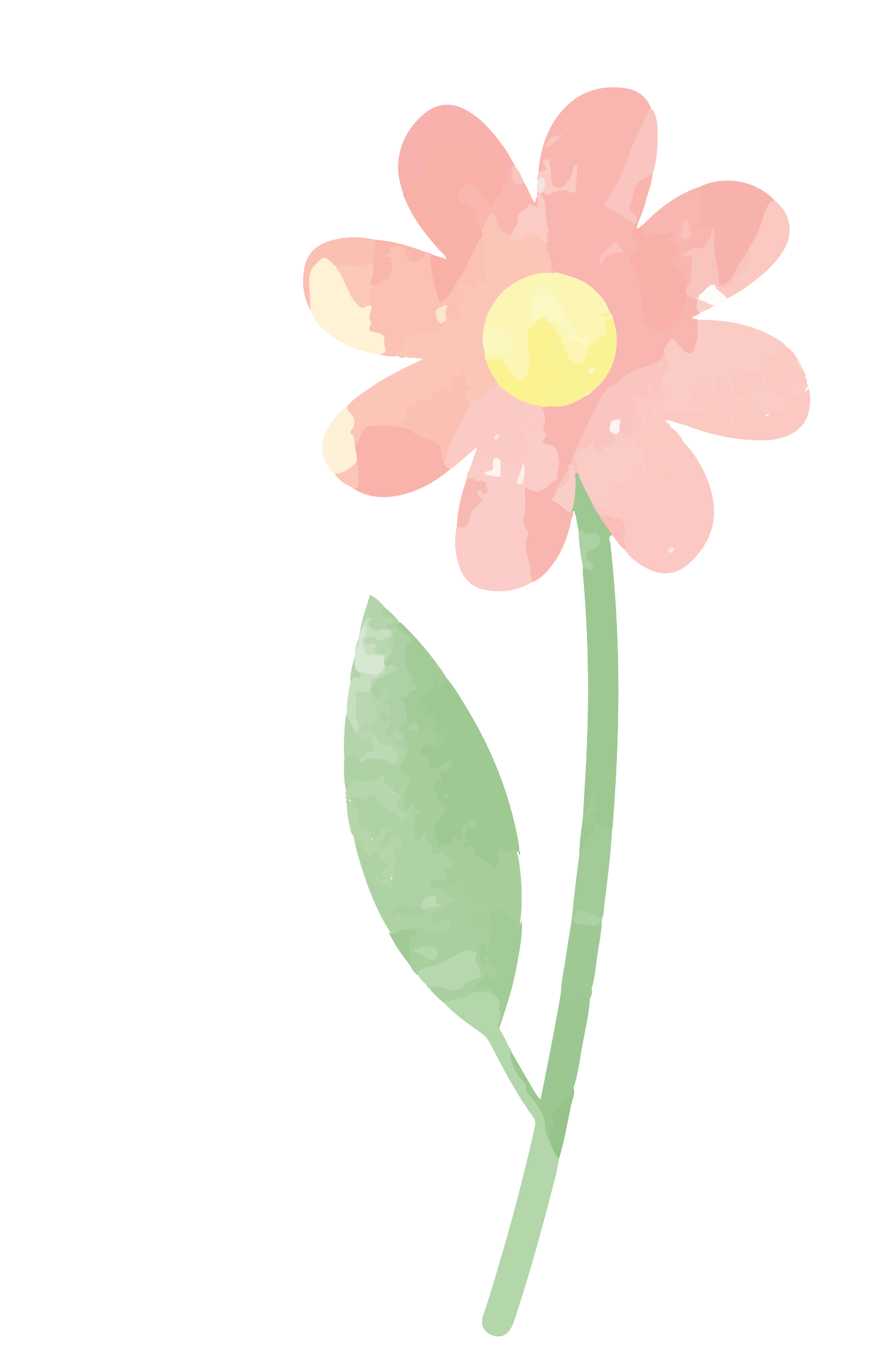 Suluboya Çiçek PNG Görüntü