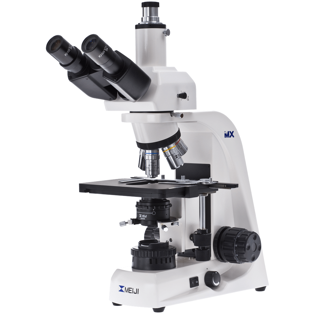 Mikroskop putih PNG Clipart
