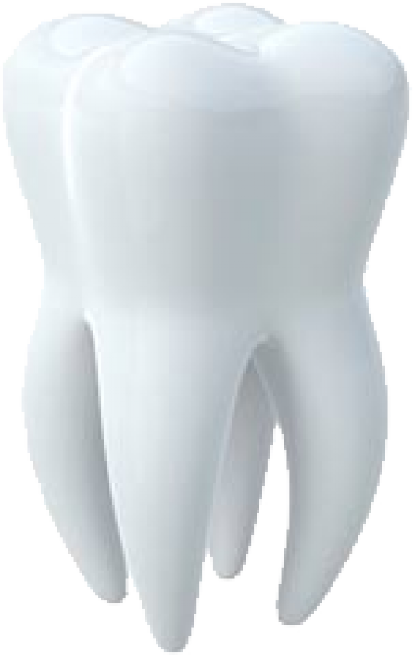 White Tooth PNG Picture