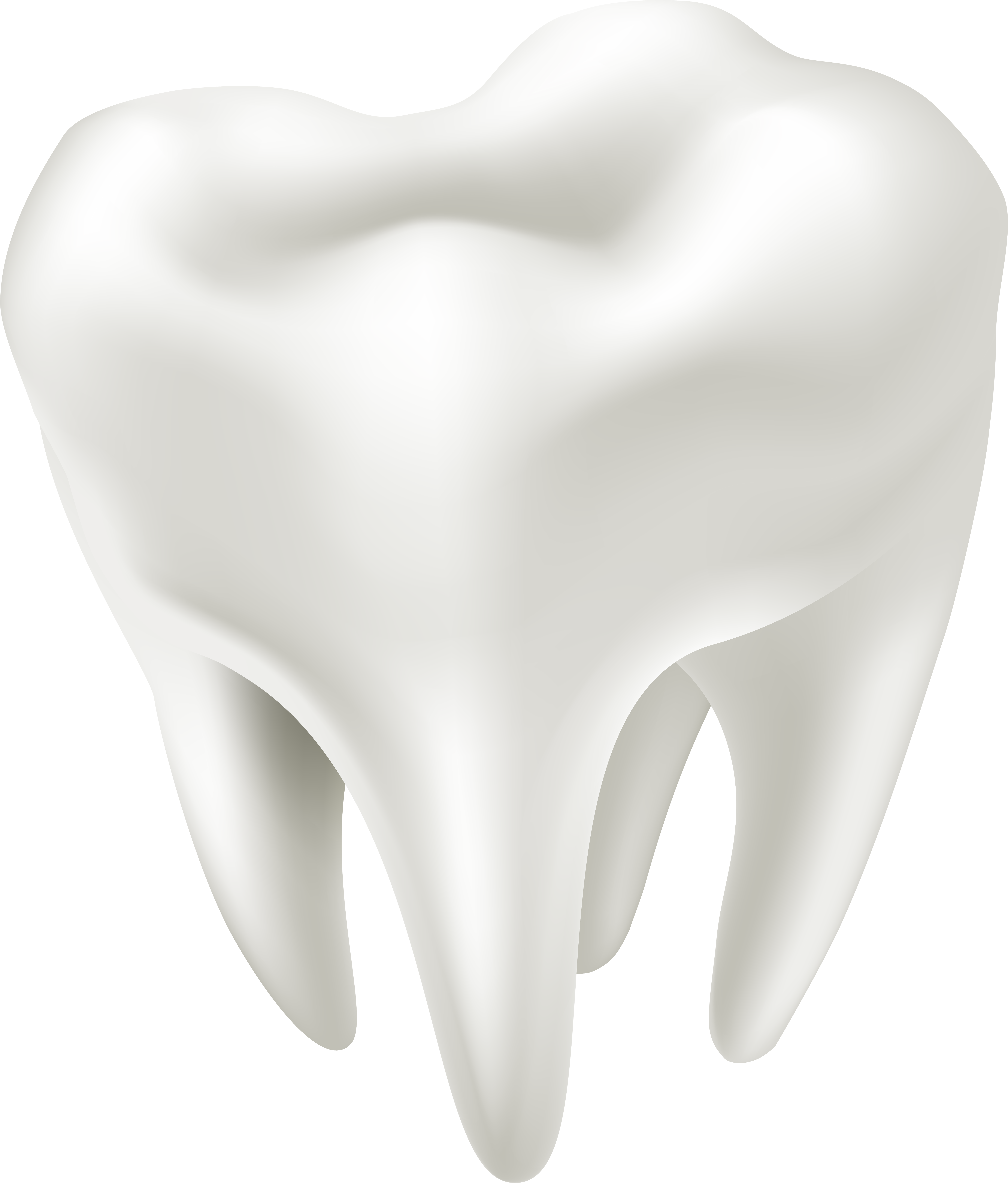 White Tooth Transparent PNG